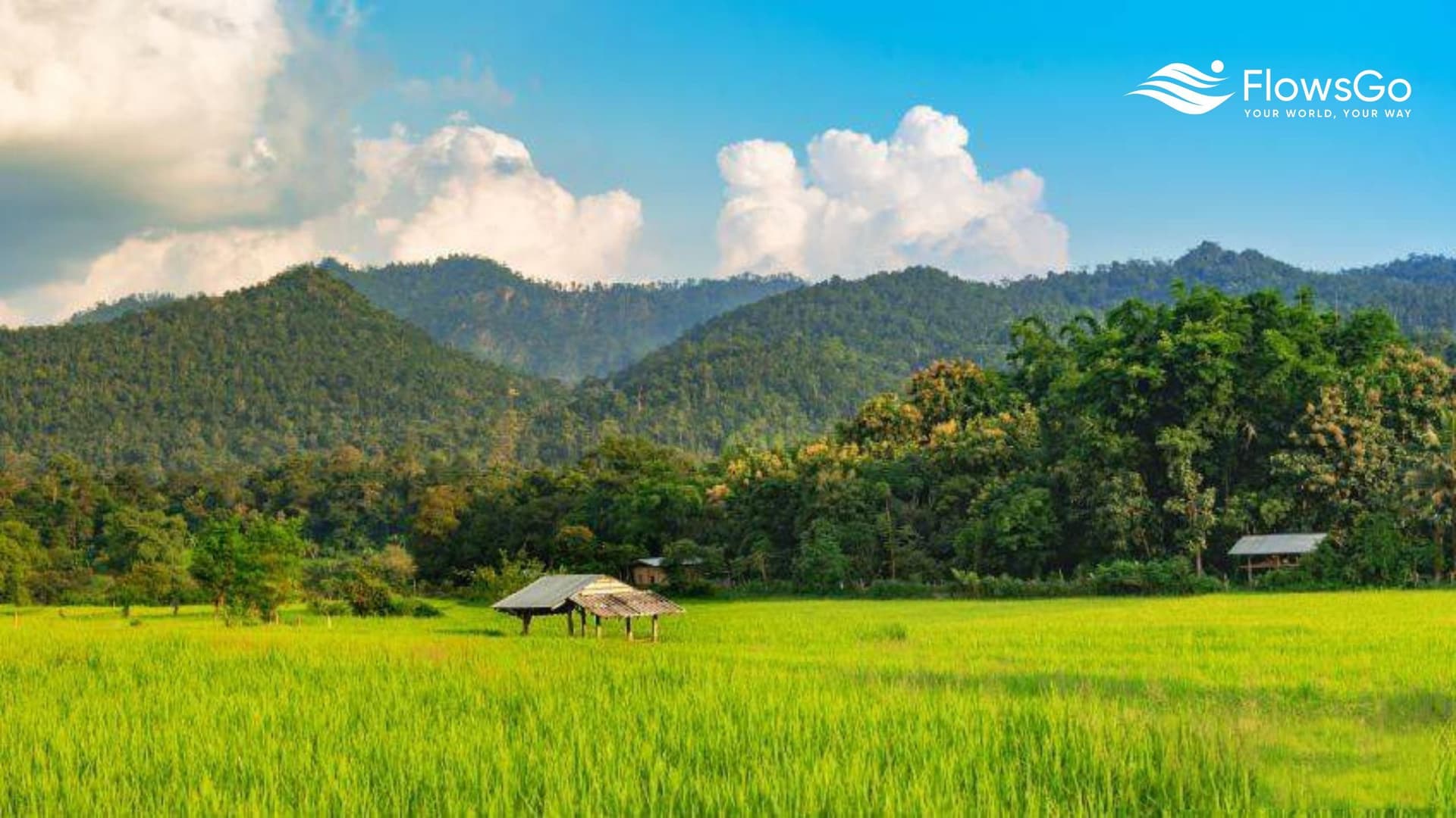 Muang Kong - Đắm chìm bên dòng sông Kong