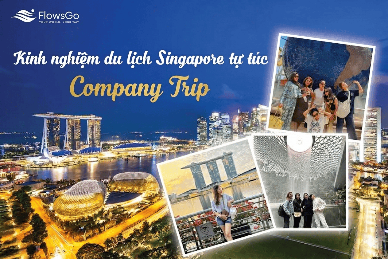 Top 5 Kinh nghiệm du lịch Singapore tự túc Company Trip