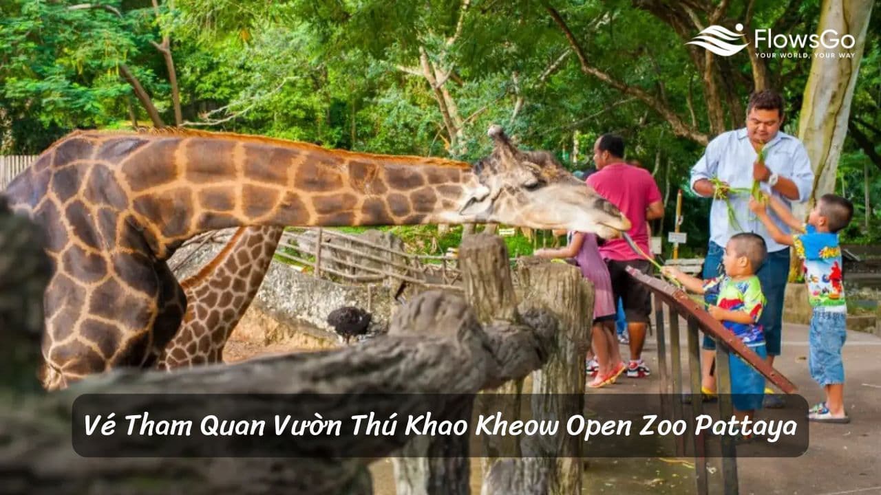 Vé Tham Quan Vườn Thú Khao Kheow Open Zoo Pattaya