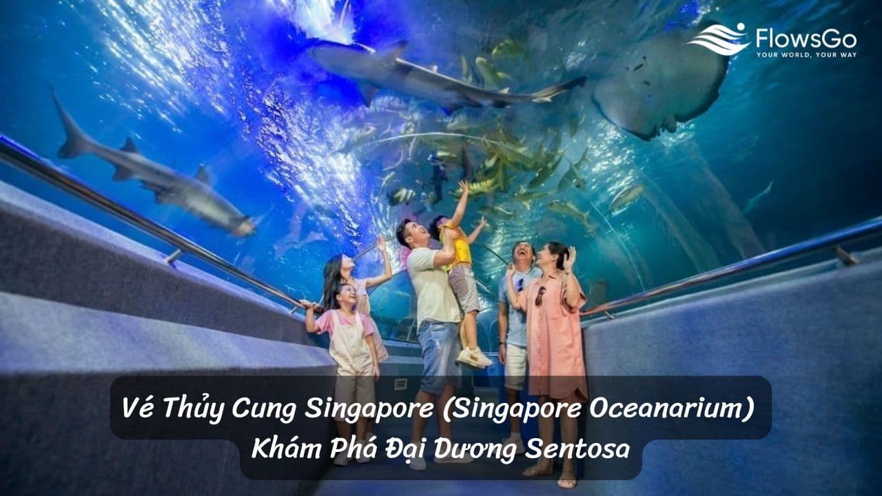 Vé Thủy Cung Singapore (Singapore Oceanarium) – Khám Phá Đại Dương Sentosa