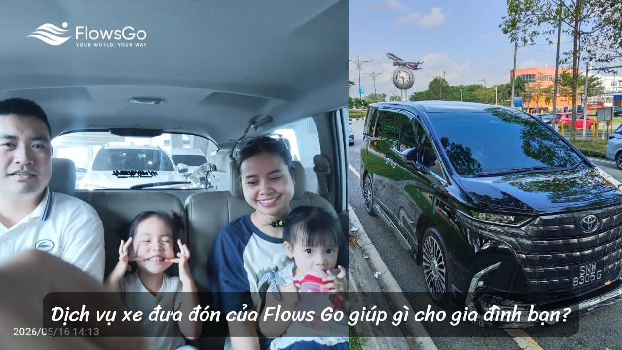 Dịch vụ xe đưa đón của Flows Go giúp gì cho gia đình khi du lịch tự túc?